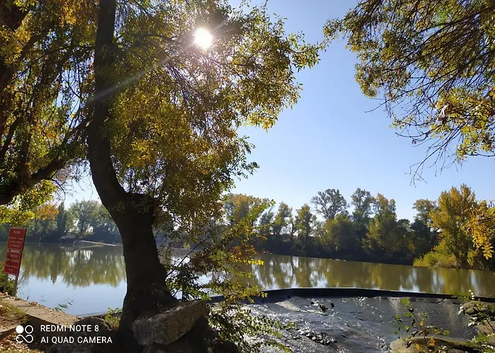 Holiday home Casa Vainilla San Miguel del Pino
